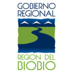 Gobierno Regional del biobio