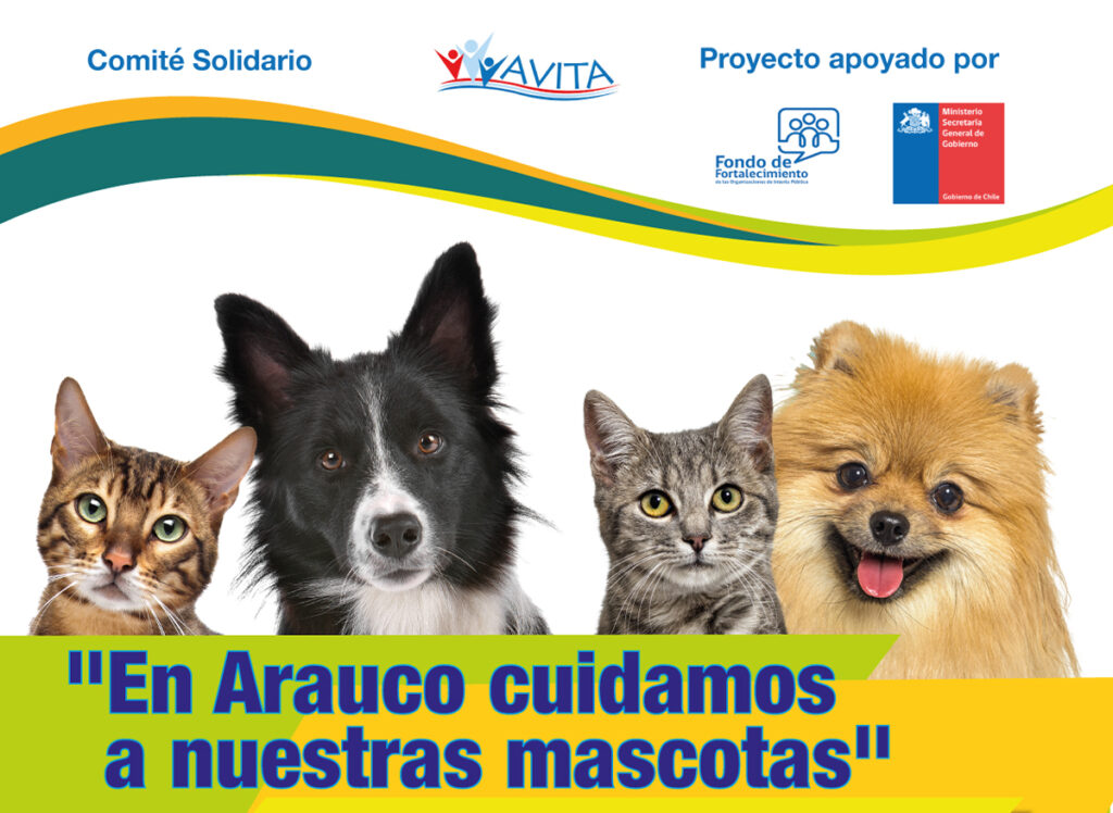 En Arauco cuidamos a nuestras mascotas