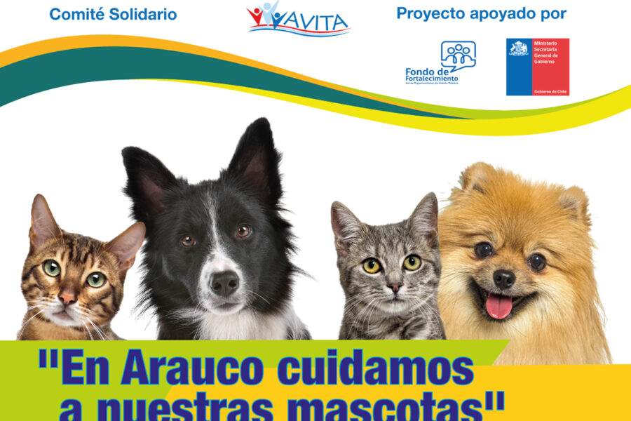 En Arauco cuidamos a nuestras mascotas
